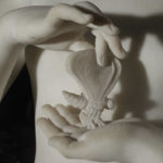 farfalla canova