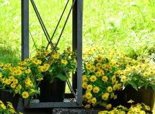 giardino di casa