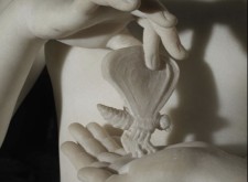 farfalla canova